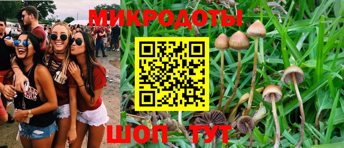 Псилоцибиновые грибы Cubensis Таганрог